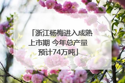 浙江杨梅进入成熟上市期 今年总产量预计74万吨
