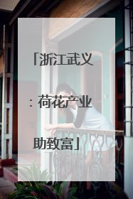 浙江武义：荷花产业助致富