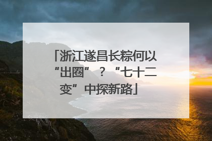 浙江遂昌长粽何以“出圈”？“七十二变”中探新路