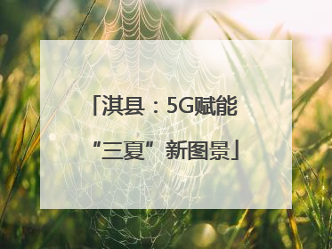 淇县：5G赋能“三夏”新图景