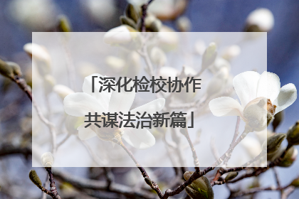 深化检校协作 共谋法治新篇