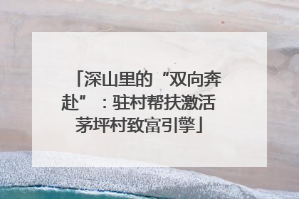 深山里的“双向奔赴”：驻村帮扶激活茅坪村致富引擎