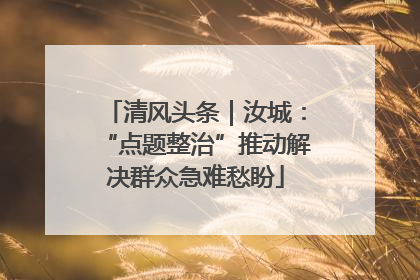 清风头条｜汝城：“点题整治”推动解决群众急难愁盼