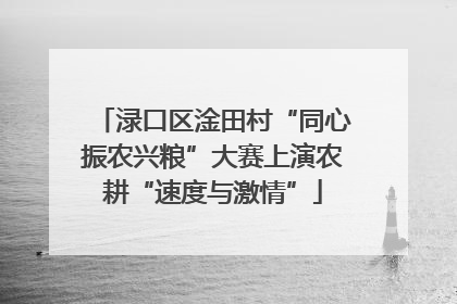 渌口区淦田村“同心振农兴粮”大赛上演农耕“速度与激情”