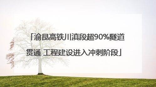 渝昆高铁川滇段超90%隧道贯通 工程建设进入冲刺阶段