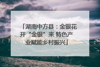 湖南中方县：金银花开“金银”来 特色产业赋能乡村振兴
