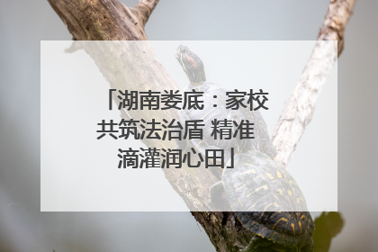 湖南娄底：家校共筑法治盾 精准滴灌润心田