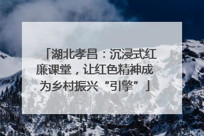 湖北孝昌：沉浸式红廉课堂，让红色精神成为乡村振兴“引擎”