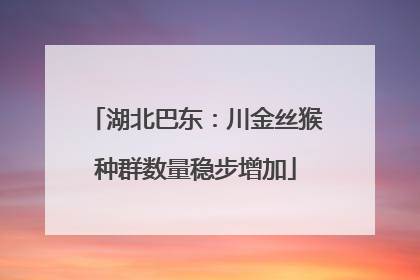 湖北巴东：川金丝猴种群数量稳步增加