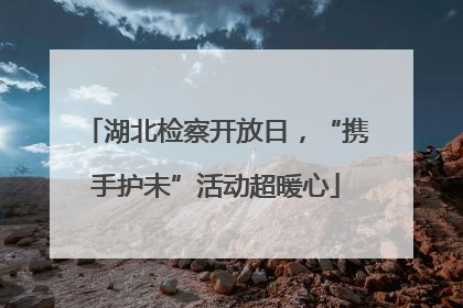 湖北检察开放日，“携手护未”活动超暖心