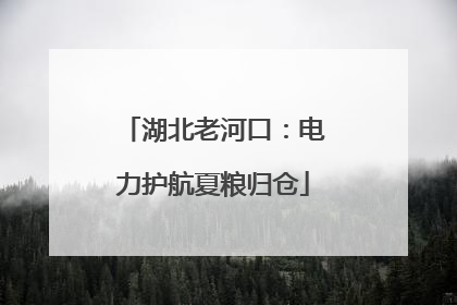 湖北老河口：电力护航夏粮归仓