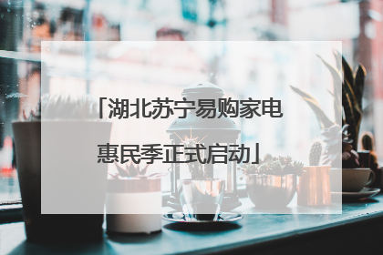 湖北苏宁易购家电惠民季正式启动