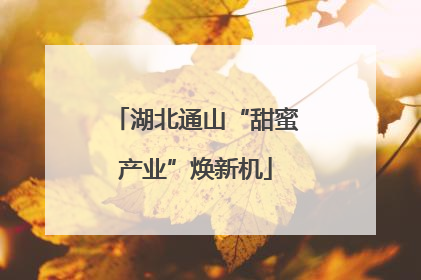 湖北通山“甜蜜产业”焕新机