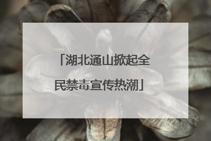 湖北通山掀起全民禁毒宣传热潮
