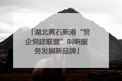 湖北黄石新港“警企党建联盟”叫响服务发展新品牌