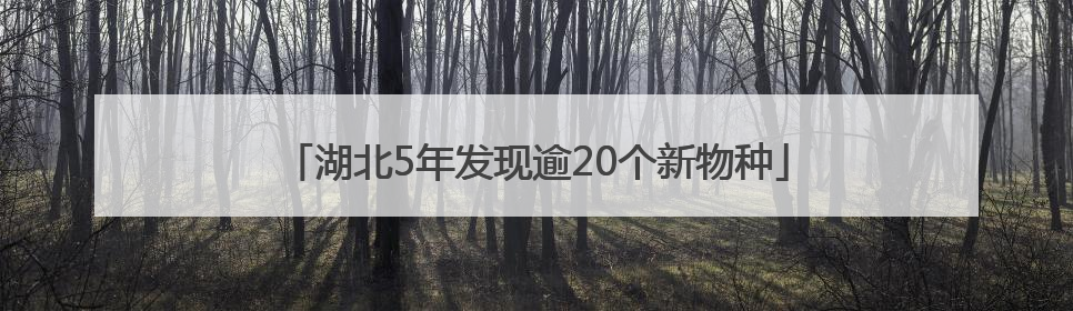 湖北5年发现逾20个新物种