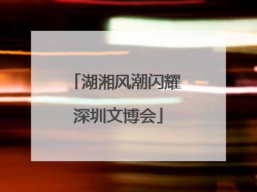 湖湘风潮闪耀深圳文博会