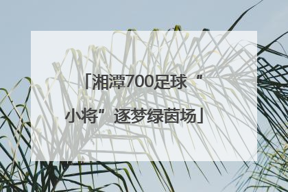 湘潭700足球“小将”逐梦绿茵场