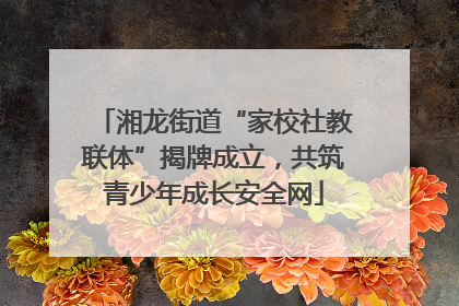 湘龙街道“家校社教联体”揭牌成立，共筑青少年成长安全网