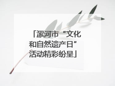漯河市“文化和自然遗产日”活动精彩纷呈