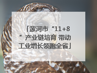 漯河市“11+8”产业链培育 带动工业增长领跑全省