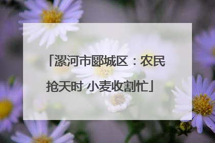 漯河市郾城区：农民抢天时 小麦收割忙