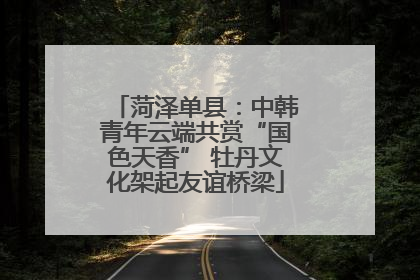 菏泽单县：中韩青年云端共赏“国色天香” 牡丹文化架起友谊桥梁