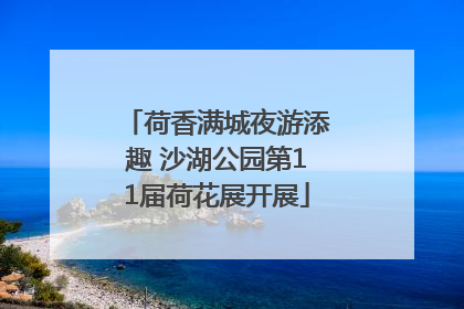荷香满城夜游添趣 沙湖公园第11届荷花展开展