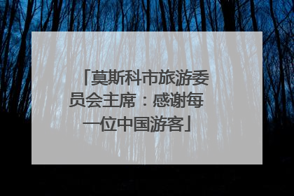 莫斯科市旅游委员会主席：感谢每一位中国游客