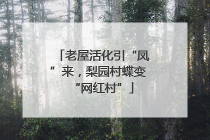 老屋活化引“凤”来，梨园村蝶变“网红村”