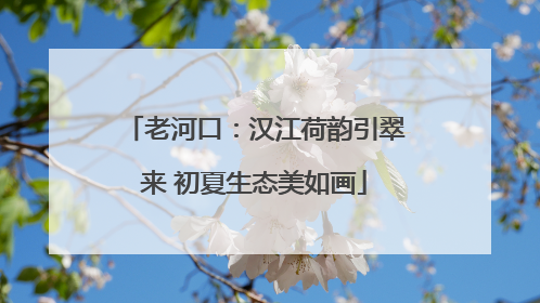 老河口：汉江荷韵引翠来 初夏生态美如画