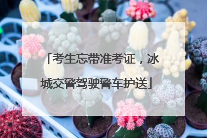 考生忘带准考证，冰城交警驾驶警车护送