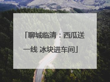 聊城临清：西瓜送一线 冰块进车间