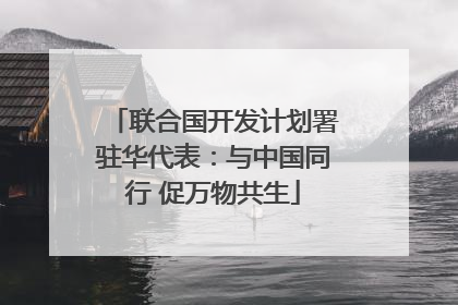 联合国开发计划署驻华代表：与中国同行 促万物共生
