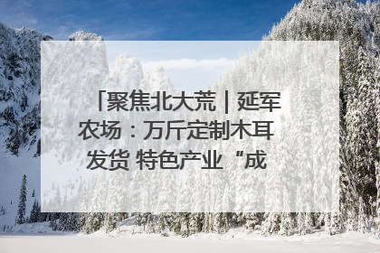 聚焦北大荒｜延军农场：万斤定制木耳发货 特色产业“成绩单”亮眼