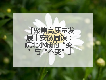 聚焦高质量发展丨安徽固镇：皖北小城的“变”与“不变”