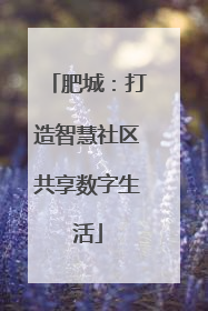 肥城：打造智慧社区共享数字生活