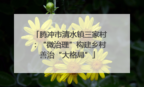 腾冲市清水镇三家村：“微治理”构建乡村善治“大格局”