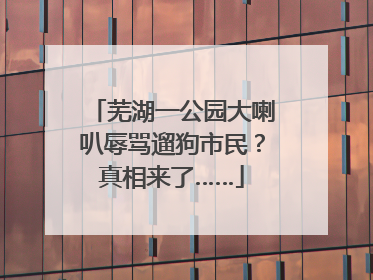 芜湖一公园大喇叭辱骂遛狗市民？真相来了……
