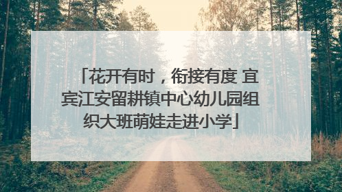 花开有时，衔接有度 宜宾江安留耕镇中心幼儿园组织大班萌娃走进小学