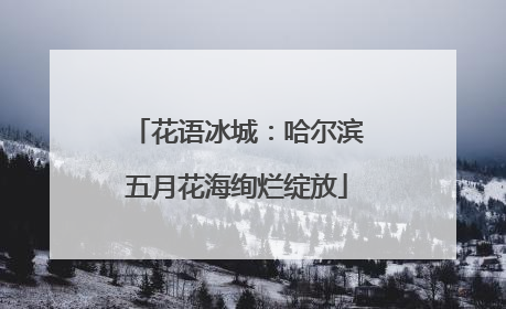 花语冰城：哈尔滨五月花海绚烂绽放