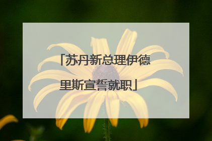 苏丹新总理伊德里斯宣誓就职