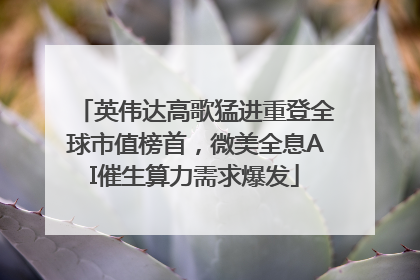 英伟达高歌猛进重登全球市值榜首，微美全息AI催生算力需求爆发
