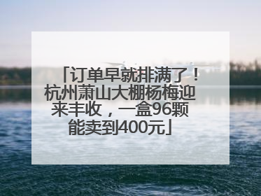 订单早就排满了！杭州萧山大棚杨梅迎来丰收，一盒96颗能卖到400元
