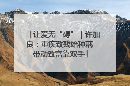 让爱无“碍”｜许加良：重疾致残始种藕 带动致富靠双手