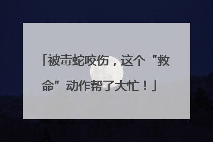 被毒蛇咬伤，这个“救命”动作帮了大忙！