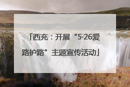 西充：开展“5·26爱路护路”主题宣传活动