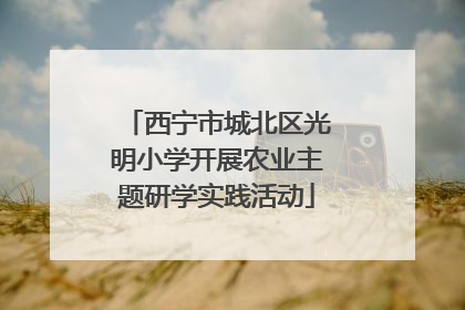 西宁市城北区光明小学开展农业主题研学实践活动