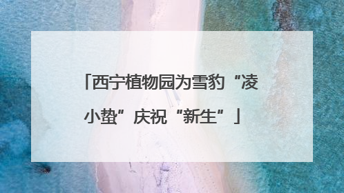 西宁植物园为雪豹“凌小蛰”庆祝“新生”