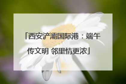 西安浐灞国际港：端午传文明 邻里情更浓